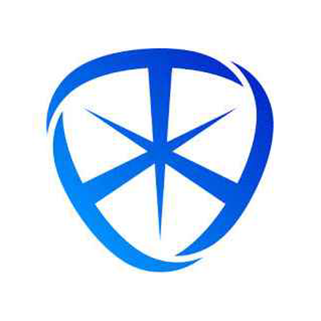 Técnica Mineral